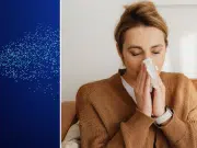 Estudio revela que la gripe mata más de lo que se cree: el 83 % de los infectados no fueron diagnosticados y creyeron que sus síntomas eran ‘normales’