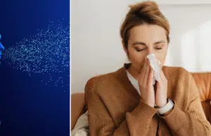 Estudio revela que la gripe mata más de lo que se cree: el 83 % de los infectados no fueron diagnosticados y creyeron que sus síntomas eran ‘normales’