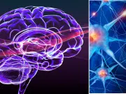 El ‘plan de entrenamiento’ que todos olvidamos: por qué el cerebro aprende más cuando es feliz