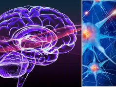 El ‘plan de entrenamiento’ que todos olvidamos: por qué el cerebro aprende más cuando es feliz
