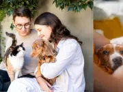 ‘Pet healthtech’ en Colombia: así funciona la nueva tecnológica que mejora la salud y el seguimiento de mascotas