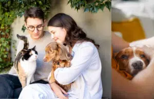‘Pet healthtech’ en Colombia: así funciona la nueva tecnológica que mejora la salud y el seguimiento de mascotas