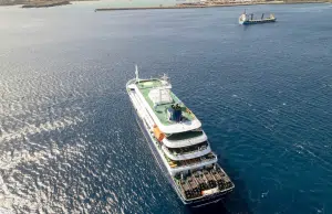OMS se pronuncia tras presunto brote de hantavirus en crucero que viajaba de Argentina a Cabo Verde: hay tres personas muertas y otra en grave estado