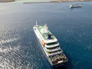 ¿Qué es el hantavirus y cuáles son sus síntomas? Así es el virus que habría causado tres muertes en un crucero que viajaba de Argentina a Cabo Verde