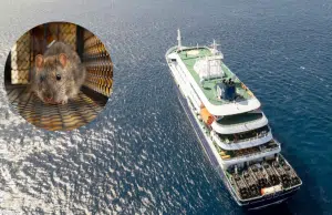 ¿Qué tan peligroso y contagioso es el hantavirus? Alerta de la OMS tras casos en crucero