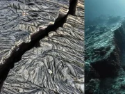 Científicos captan por primera vez la ruptura de una placa tectónica bajo el océano frente a Canadá: así se fragmenta y termina su hundimiento