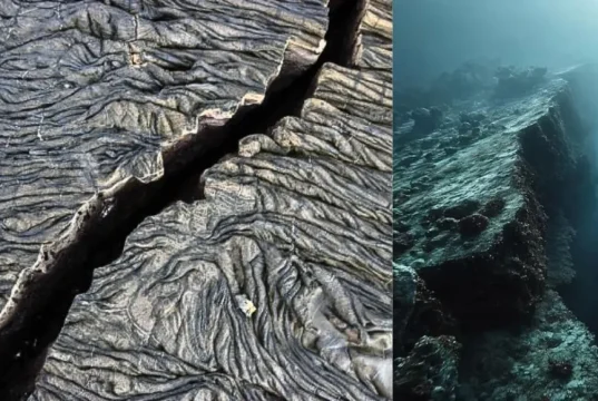 Científicos captan por primera vez la ruptura de una placa tectónica bajo el océano frente a Canadá: así se fragmenta y termina su hundimiento