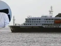 ¿El hantavirus se puede convertir en una pandemia? Esto dijo médico sobre las alertas en crucero infectado