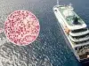 Revelan itinerario de las primeras víctimas por brote de hantavirus en crucero: los países de Latinoamérica y recorridos que hicieron antes de morir