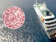 Revelan itinerario de las primeras víctimas por brote de hantavirus en crucero: los países de Latinoamérica y recorridos que hicieron antes de morir