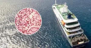 Revelan itinerario de las primeras víctimas por brote de hantavirus en crucero: los países de Latinoamérica y recorridos que hicieron antes de morir