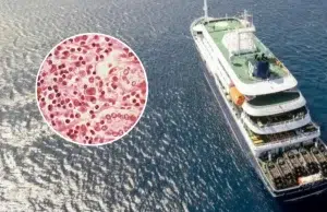 Revelan itinerario de las primeras víctimas por brote de hantavirus en crucero: los países de Latinoamérica y recorridos que hicieron antes de morir