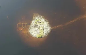 La isla artificial que desconcierta a la arqueología: hallan en Escocia una estructura de madera más antigua que Stonehenge