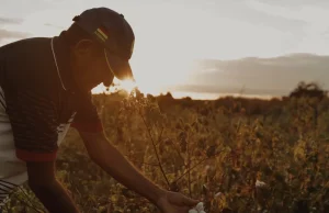 Veja lleva al Bogotá Fashion Week un documental sobre las personas detrás de la fabricación de sus tenis