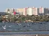 Barranquilla entre el río y el mar: una ciudad que vuelve a mirar el Magdalena y transforma su historia en turismo, memoria y sabor caribeño