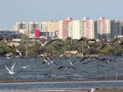 Barranquilla entre el río y el mar: una ciudad que vuelve a mirar el Magdalena y transforma su historia en turismo, memoria y sabor caribeño