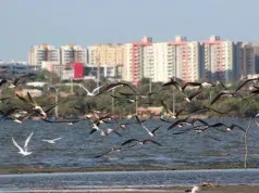 Barranquilla entre el río y el mar: una ciudad que vuelve a mirar el Magdalena y transforma su historia en turismo, memoria y sabor caribeño