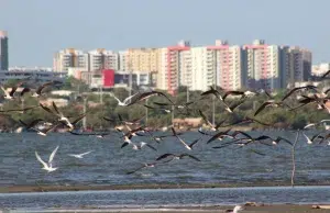 Barranquilla entre el río y el mar: una ciudad que vuelve a mirar el Magdalena y transforma su historia en turismo, memoria y sabor caribeño