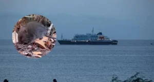 Este es el ratón silvestre de Chile y Argentina que transmite peligrosa cepa Andes, variante de hantavirus responsable del brote en crucero MV Hondius