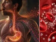 La resistencia a la insulina puede revertirse: estos cinco cambios ayudarían a frenar su avance hacia la diabetes, según expertos