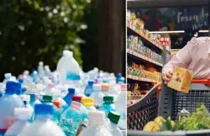 La FAO advierte sobre envases reciclados que liberan sustancias tóxicas y microplásticos: riesgo de contaminación en alimentos a nivel mundial