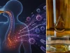 Estas son las más de 60 enfermedades y lesiones relacionadas con el consumo de alcohol, según la OMS: advierten que causa más daños que beneficios