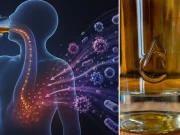 Estas son las más de 60 enfermedades y lesiones relacionadas con el consumo de alcohol, según la OMS: advierten que causa más daños que beneficios