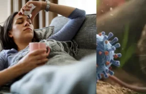 Los dos primeros síntomas del Hantavirus que no debe ignorar y que muchos confunden con gripa fuerte