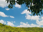 La Macarena da inicio a la temporada de Caño Cristales: lo que debe saber para visitar responsablemente este destino