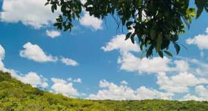 La Macarena da inicio a la temporada de Caño Cristales: lo que debe saber para visitar responsablemente este destino