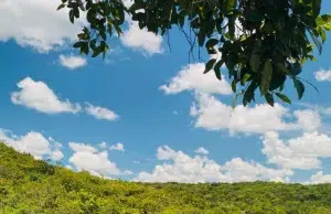 Alcaldía de La Macarena anuncia fecha de apertura de nueva temporada de visitas a Caño Cristales: esto es todo lo que debe saber