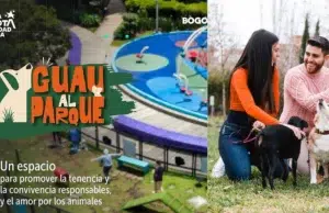 Bogotá activa ‘Guau al Parque’: mascotas recibirán atención gratuita en dos puntos de la ciudad