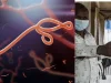 OMS declaró ‘emergencia de salud pública internacional’ por brote de variante de ébola en África central: estos son los síntomas y causas de alerta