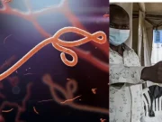 OMS declaró ‘emergencia de salud pública internacional’ por brote de variante de ébola en África central: estos son los síntomas y causas de alerta