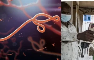 OMS declaró ‘emergencia de salud pública internacional’ por brote de variante de ébola en África central: estos son los síntomas y causas de alerta