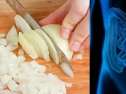 Compuesto de la cebolla podría ayudar a combatir el cáncer de colon, según estudio de la Universidad de Granada