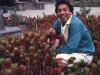 ‘Sin Medir Distancias’ estrena videoclip oficial como homenaje a Diomedes Díaz a 40 años de su lanzamiento