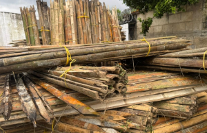 Cae cargamento de madera ilegal en operativos de Pacho y Zipaquirá