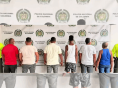Cae red criminal dedicada al tráfico de aletas de tiburón en Buenaventura