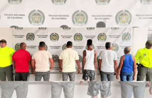 Cae red criminal dedicada al tráfico de aletas de tiburón en Buenaventura