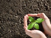 EPM entrega árboles gratis para que cuides el agua del futuro