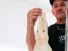 Cuerpos como escenarios, memoria y formas de habitar el presente