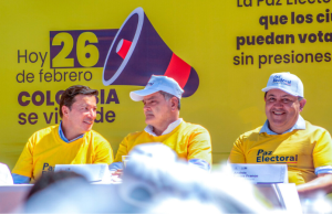 Reglas electorales, entre vacíos estructurales y vicios electorales