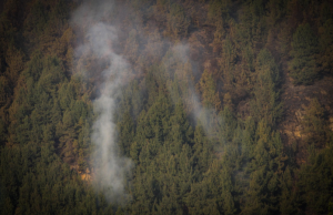 Controlan emergencia por incendios simultáneos en el norte de Antioquia