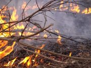 Corantioquia alerta por temporada seca y pide activar planes ante posible fenómeno de El Niño