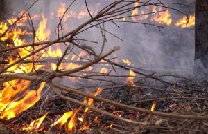 Corantioquia alerta por temporada seca y pide activar planes ante posible fenómeno de El Niño