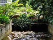 Destapar las quebradas: una posible solución para prevenir inundaciones