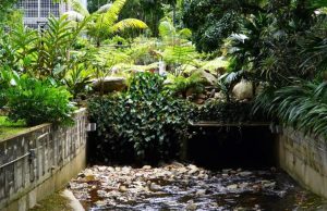 Destapar las quebradas: una posible solución para prevenir inundaciones