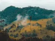 La evolución de las tierras en Montes de María y el papel de Cementos Argos en el desarrollo territorial