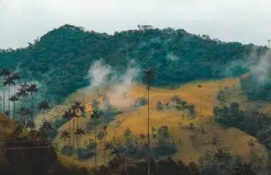 La evolución de las tierras en Montes de María y el papel de Cementos Argos en el desarrollo territorial